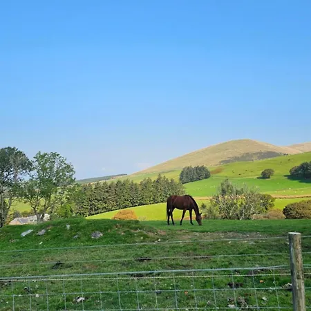 The District Caravan